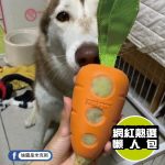 67674益智胡蘿蔔