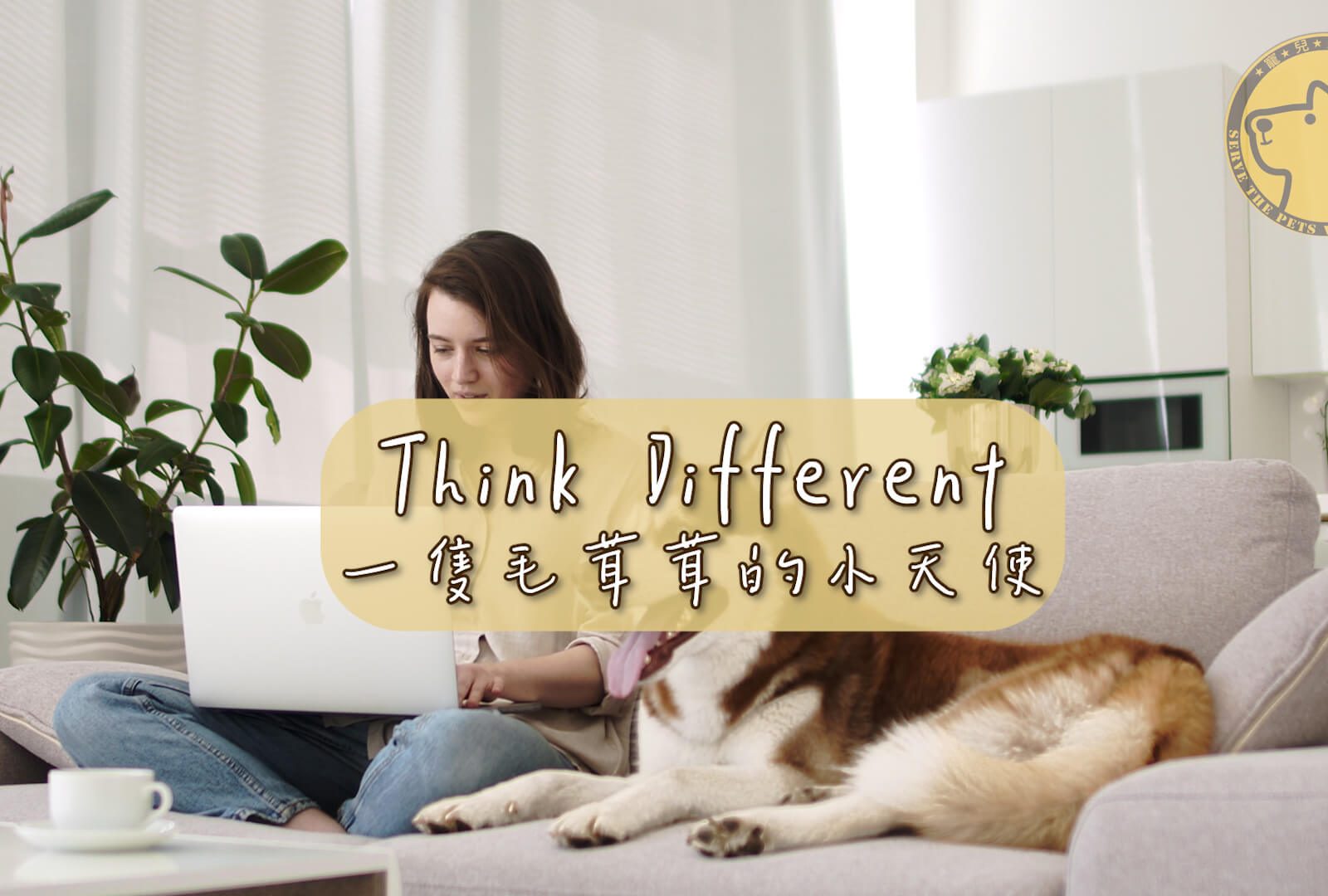 Think Different #毛茸茸的小天使