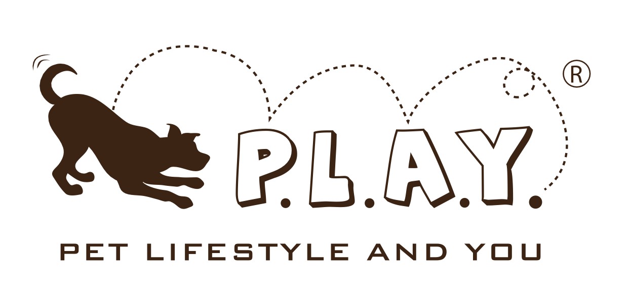 P.L.A.Y.logo